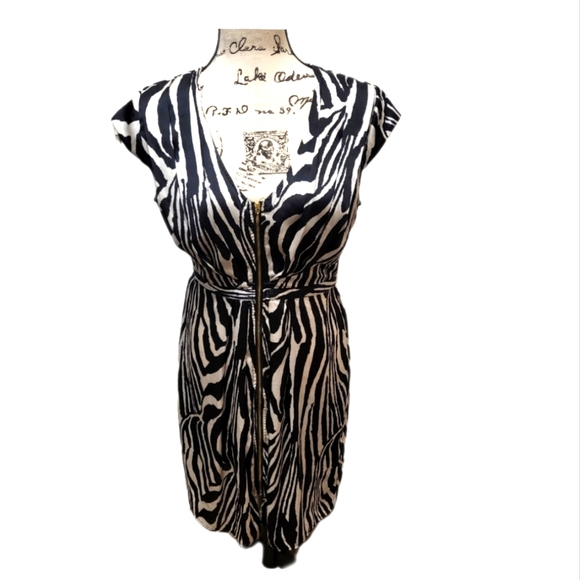 H&M Dresses & Skirts - NWOT H&M SILKY DRESS ZEBRA STRIPE FULL ZIP FRONT CLOSURE CAP SLEEVE EMPIRE WAIST